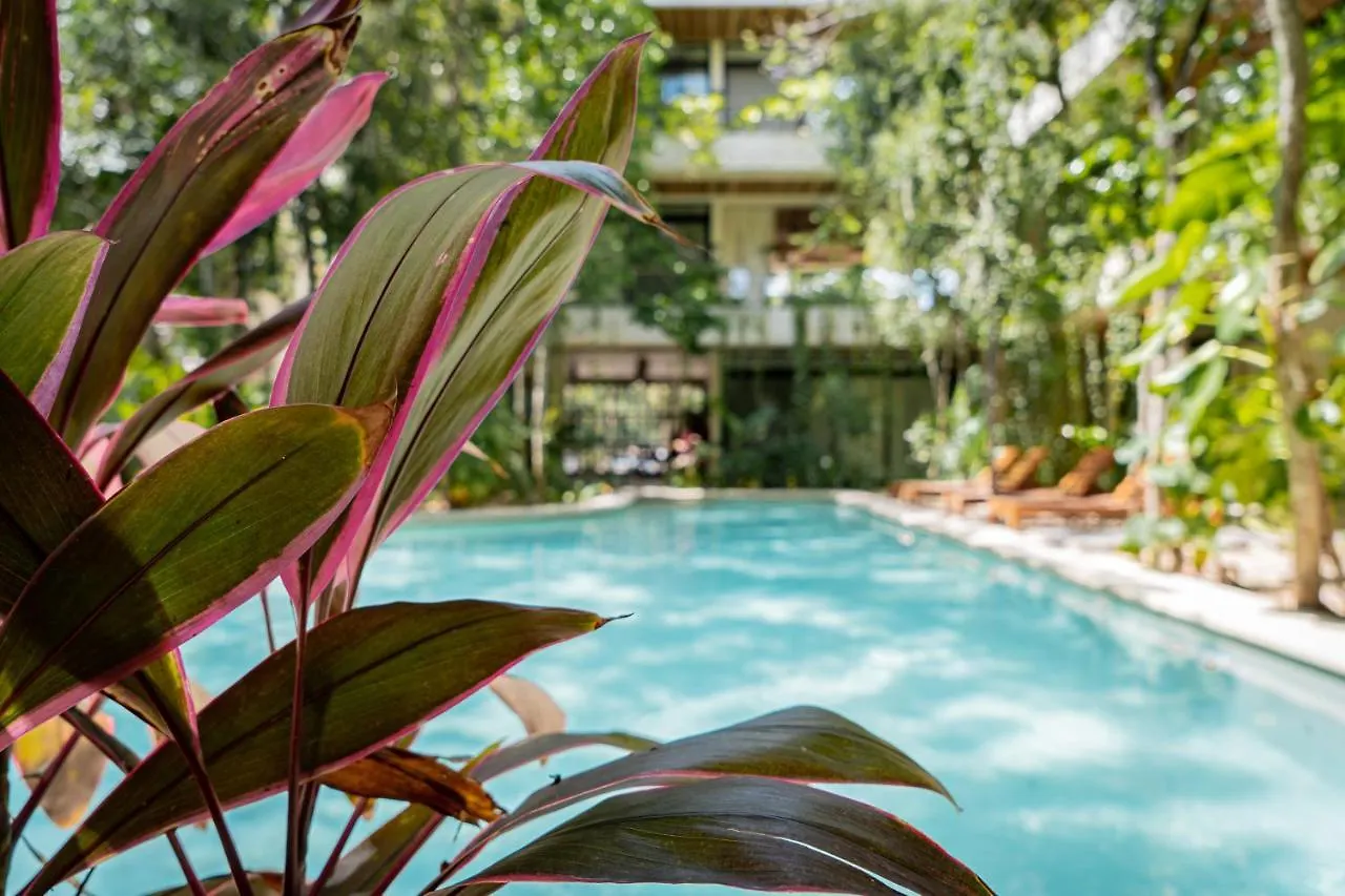 Casai - Bohemian Loft In Eco-Chic Community La Veleta Apartment Tulum