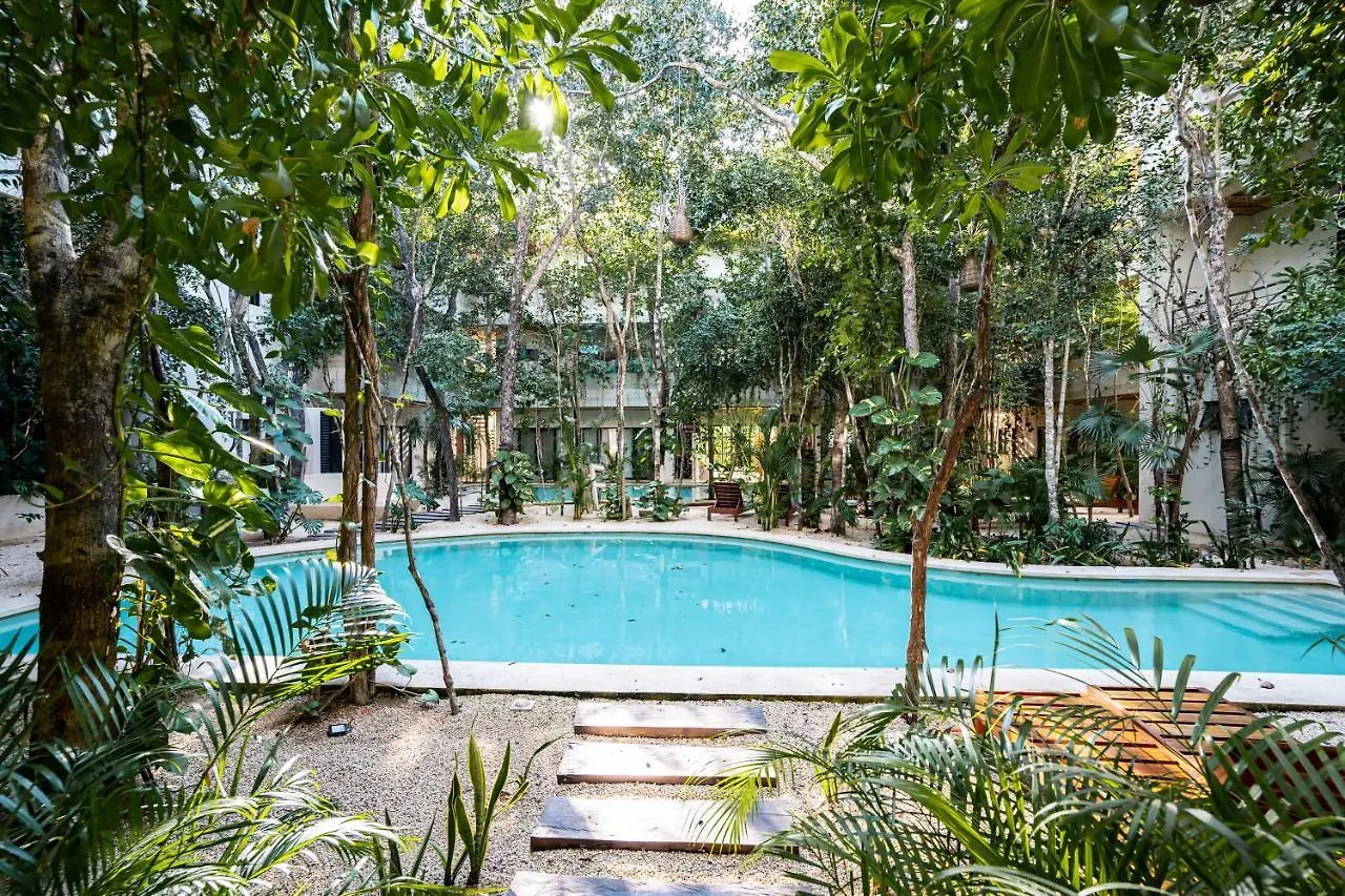 Casai - Bohemian Loft In Eco-Chic Community La Veleta Apartment Tulum 0*,  Mexico