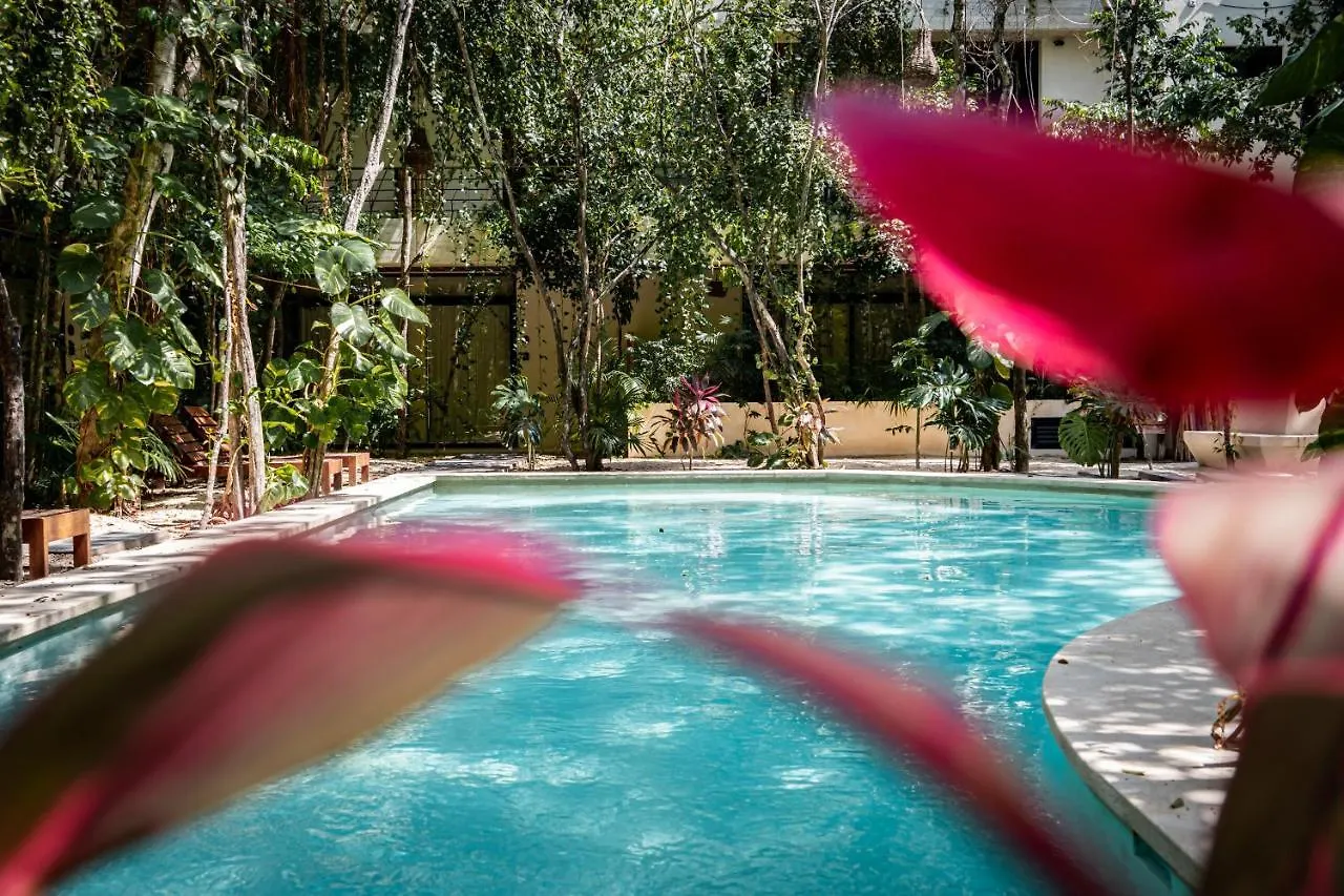Casai - Bohemian Loft In Eco-Chic Community La Veleta Apartment Tulum 0*,