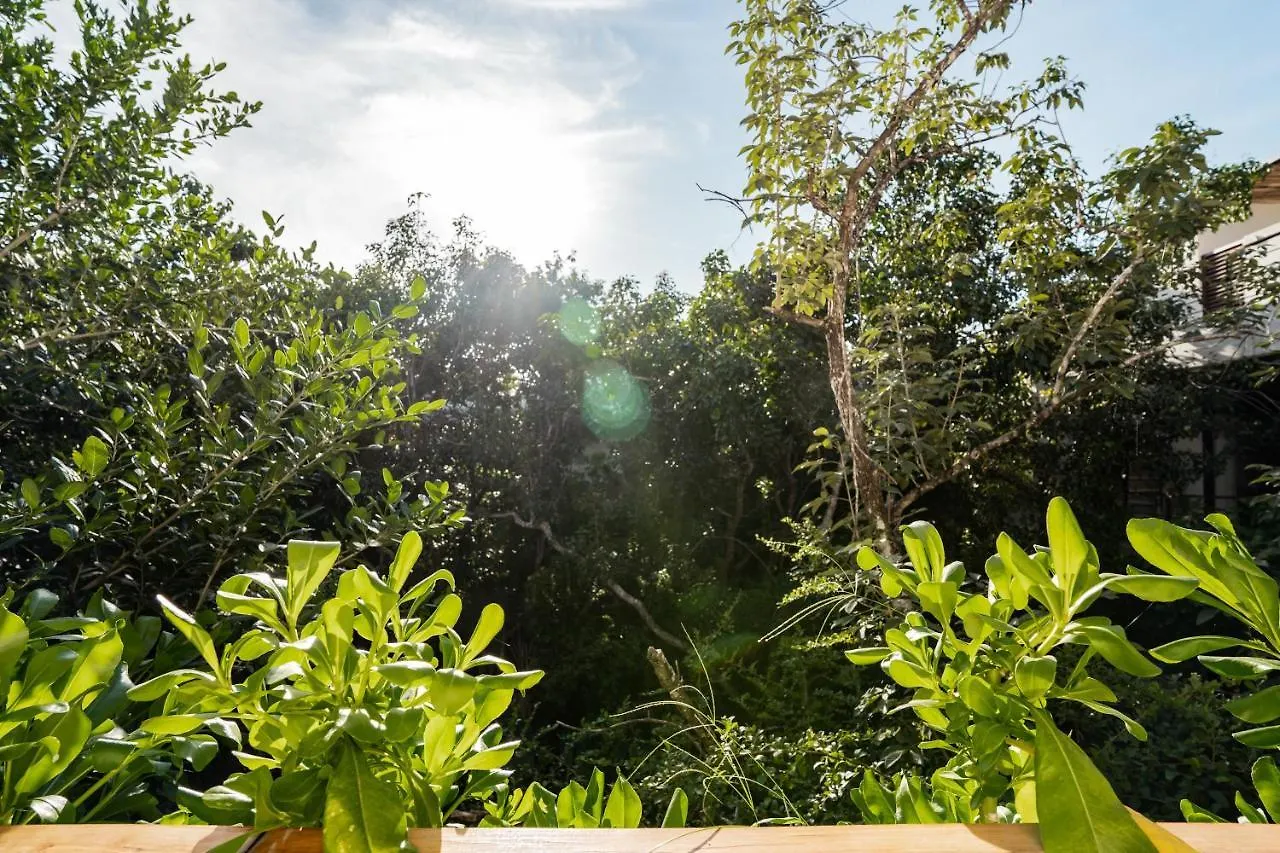 Casai - Bohemian Loft In Eco-Chic Community La Veleta Apartment Tulum