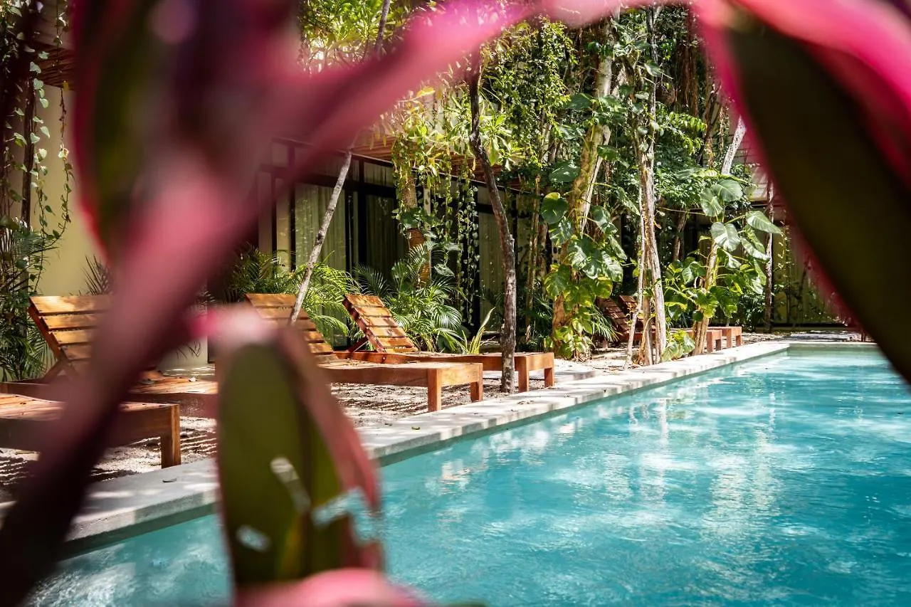 Casai - Bohemian Loft In Eco-Chic Community La Veleta Apartment Tulum