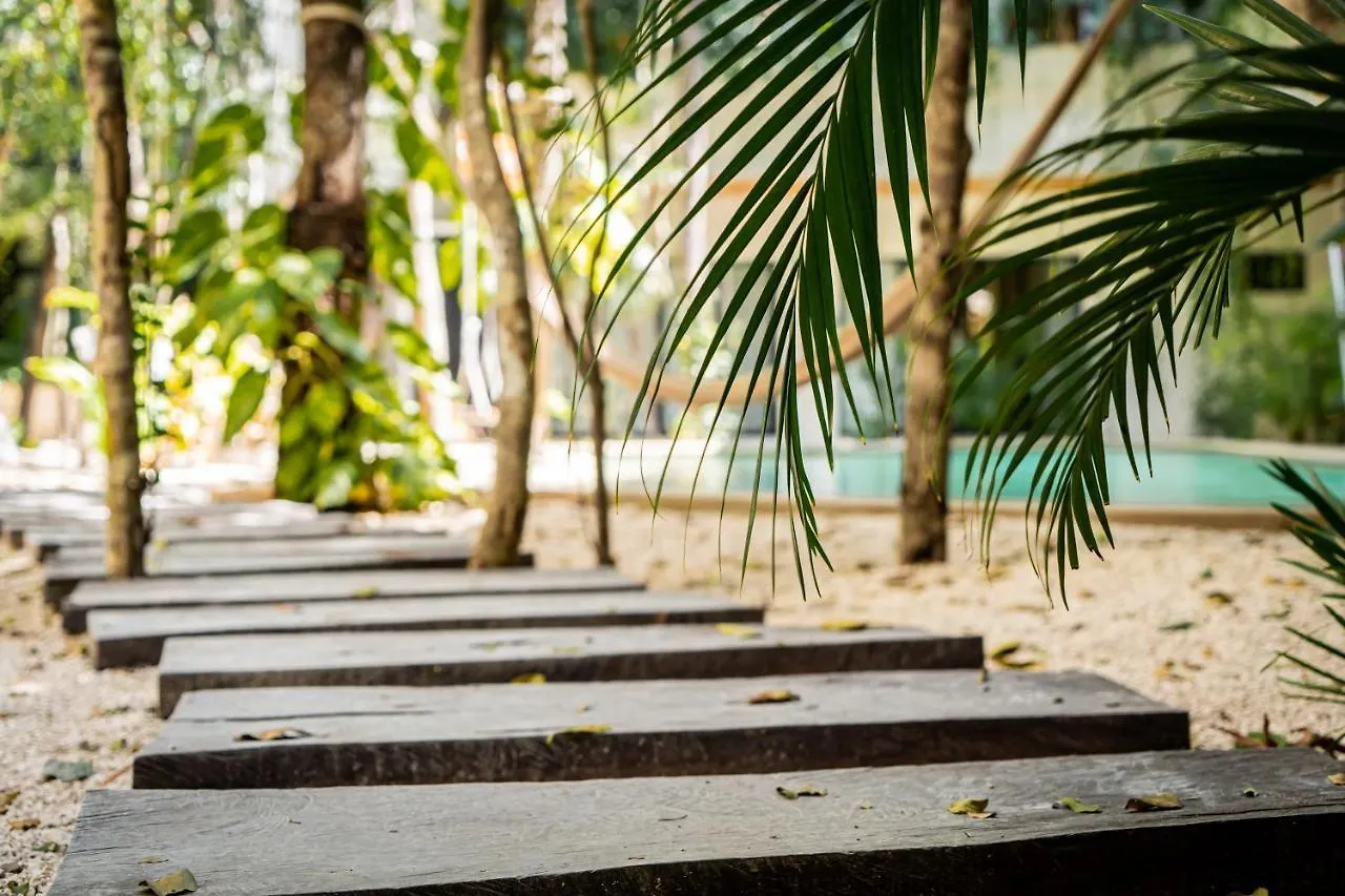 Casai - Bohemian Loft In Eco-Chic Community La Veleta Lägenhet Tulum