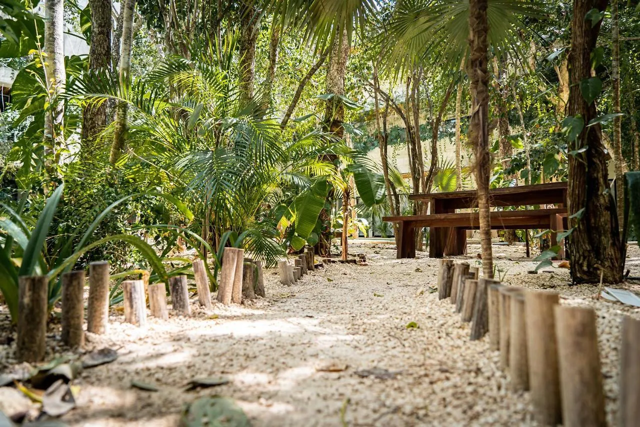 Casai - Bohemian Loft In Eco-Chic Community La Veleta Lägenhet Tulum